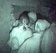 mv (video 8mm)