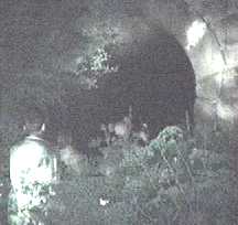 video8 (mv)